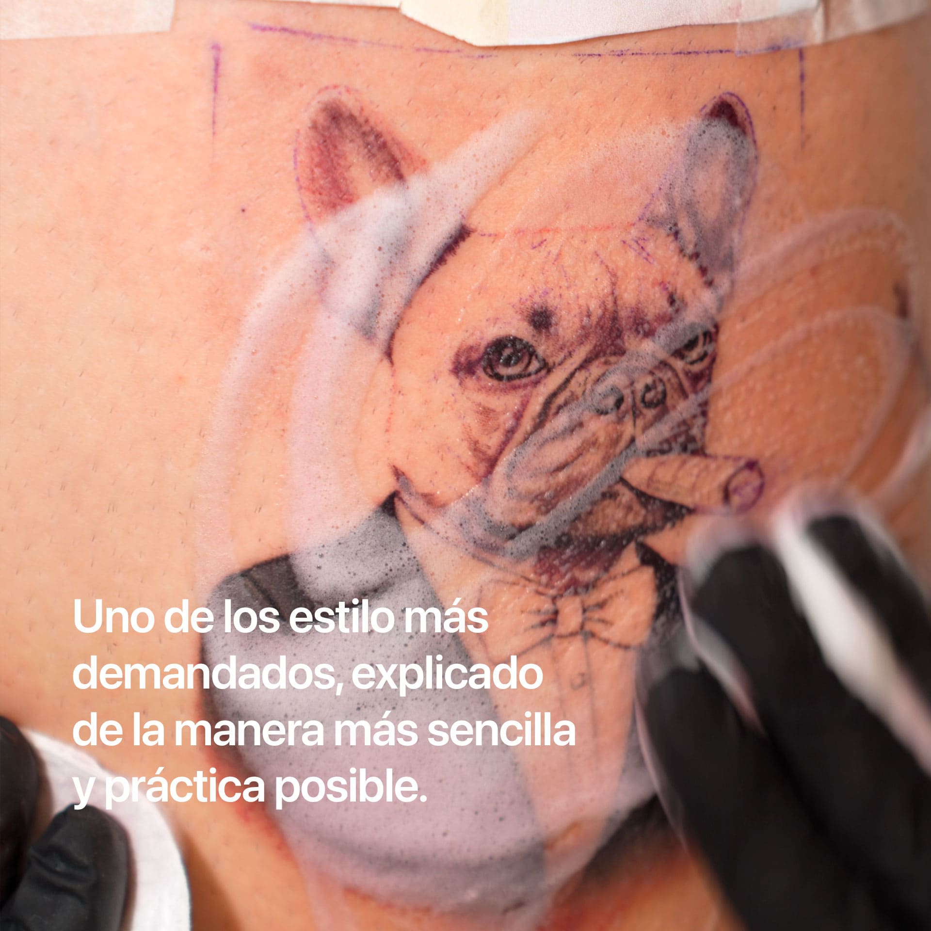 Micro Realismo Mascota a Color - Masterclass