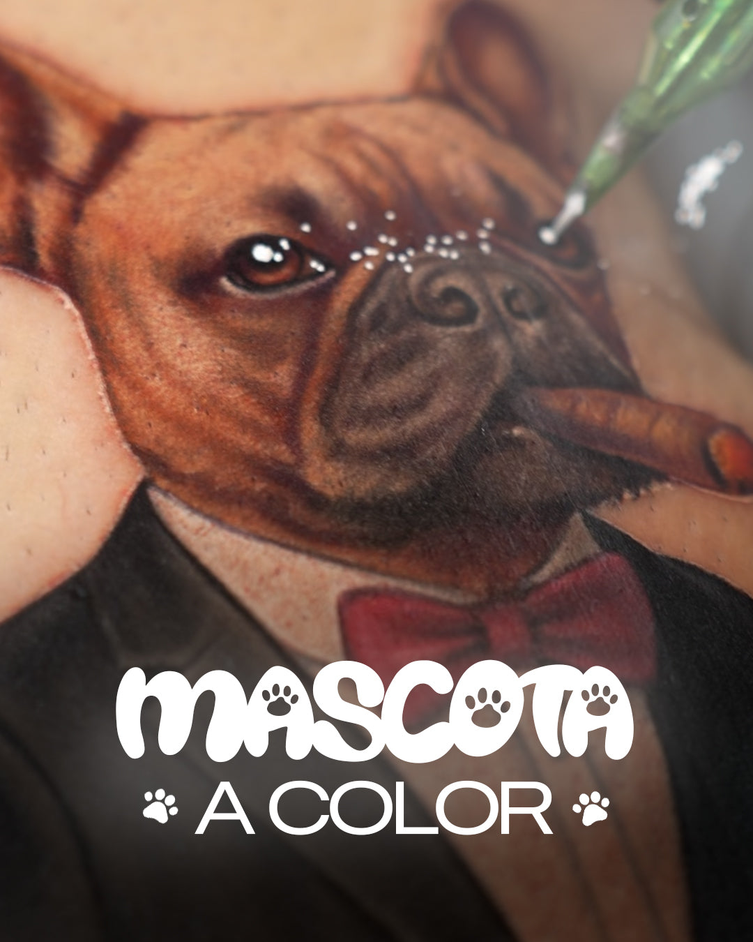 Micro Realismo Animale a Colori - Masterclass