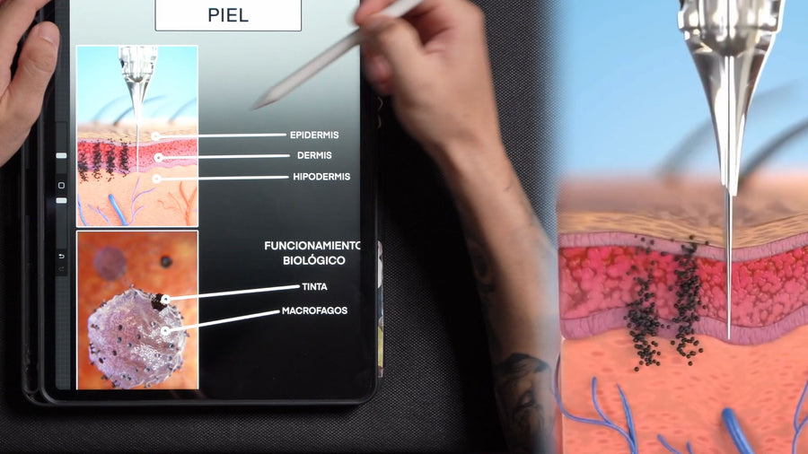 Toda la base que necesitas antes de tocar una maquina